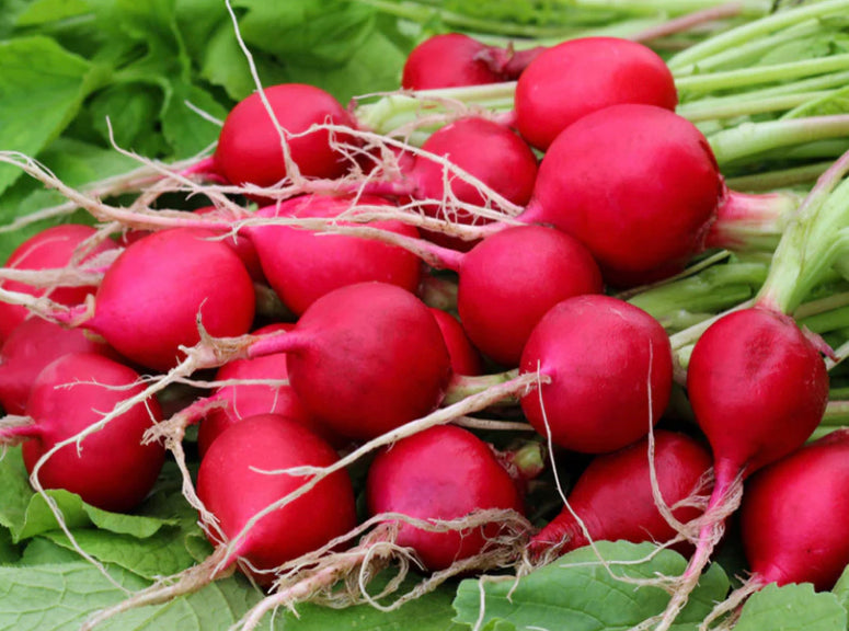 What is Radish Root and Is It Good For Your Skin?