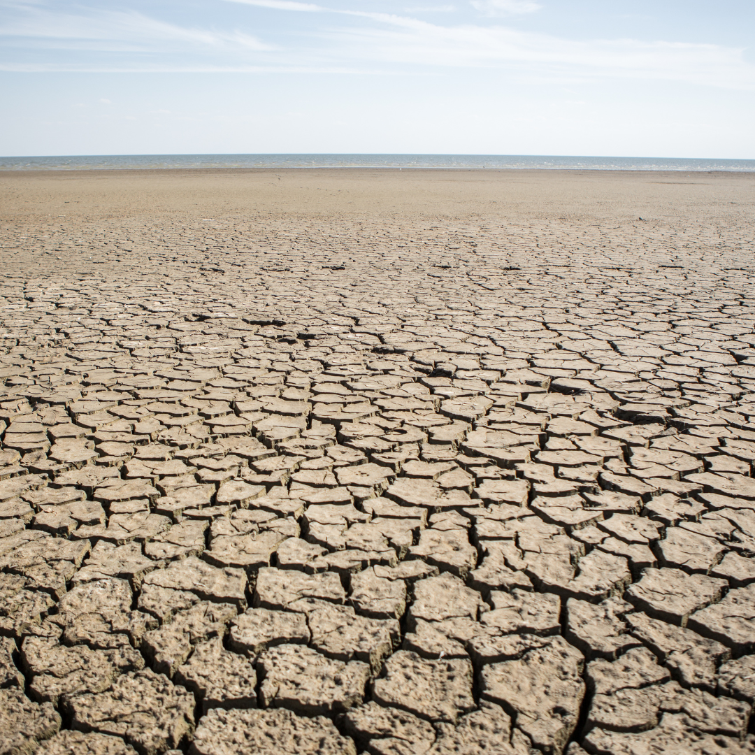 How To Get Rid of Dry Skin